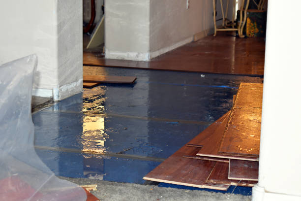 Professional Burst Pipe Cleanup technician working in Hemet, CA